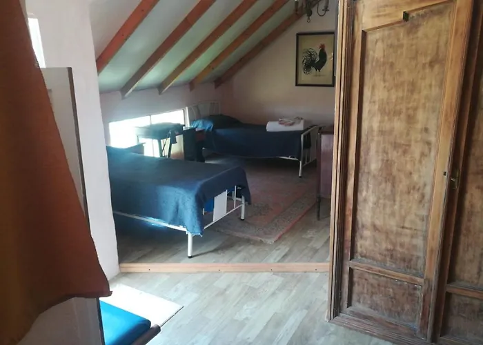 Casa Viaut