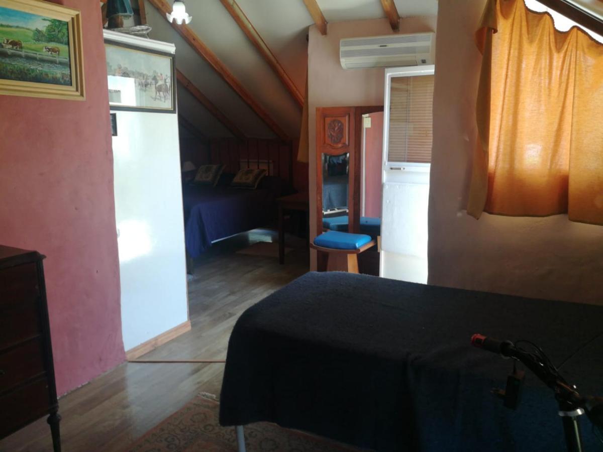 Homestay Casa Viaut